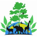 Understanding Biodiversity and Its Role in Ecosystems